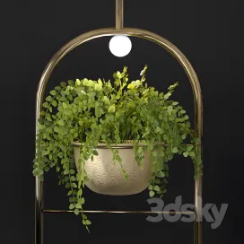 Metal hanging lamp indoor plant partition